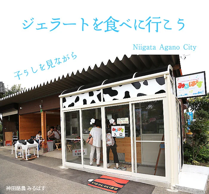 神田酪農　ジェラートショップ　みるぱす