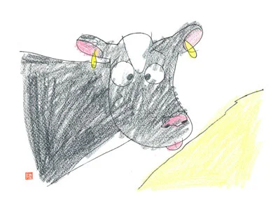 神田酪農のホルスタイン