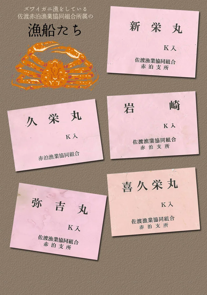 佐渡赤泊漁業協同組合の漁船たち