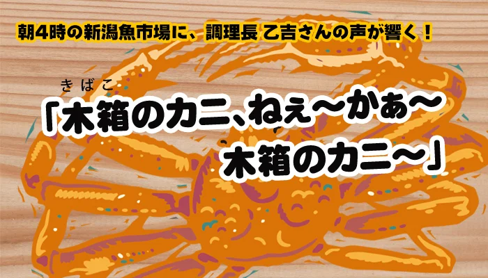 新潟の木箱に入ったズワイガンイ