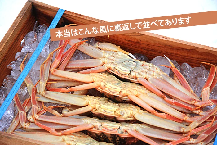 木箱に入った新潟佐渡のズワイガニ
