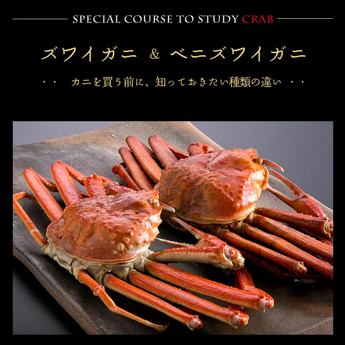 カニを買う前に知っておきたい種類の違い