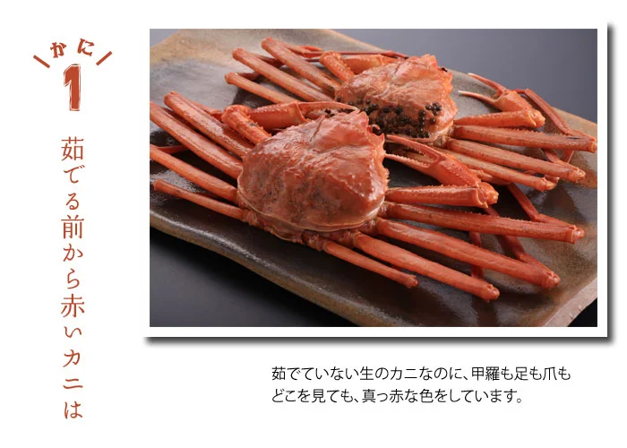 ベニズワイガニ