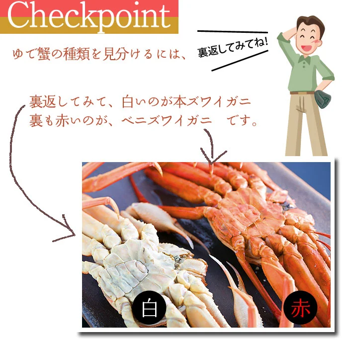ゆで蟹の選び方