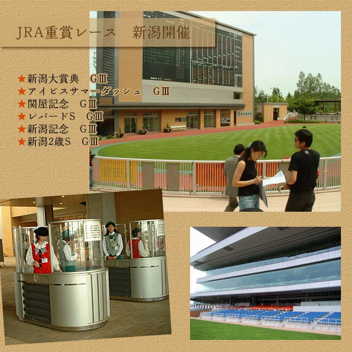 新潟競馬　開催