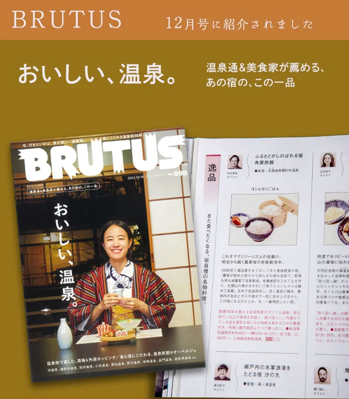 BRUTUS 2023年12月15日号