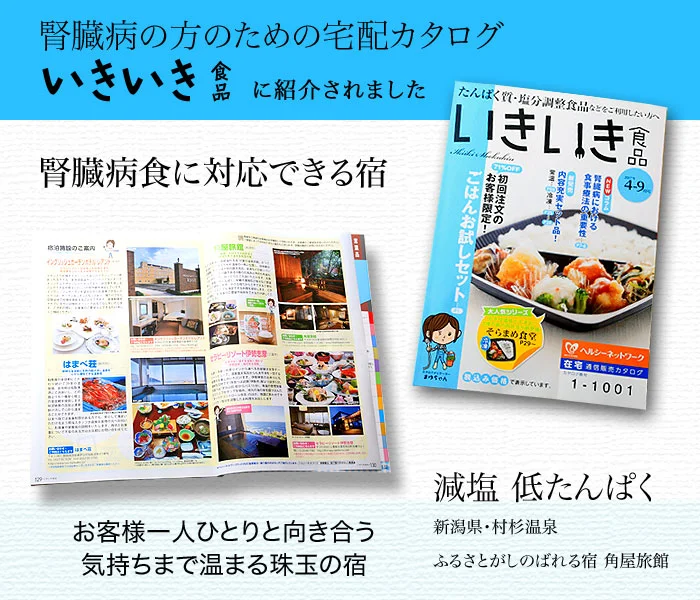 いきいき食品 2017年