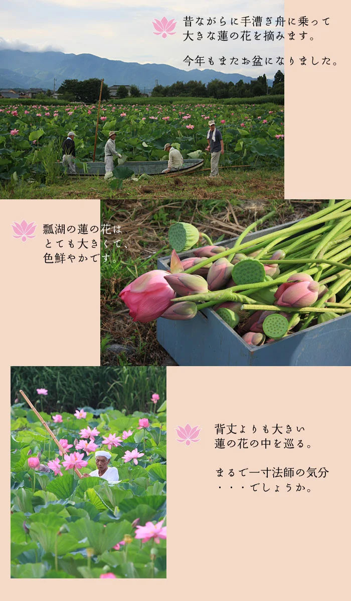 まるで一寸法師のような風景