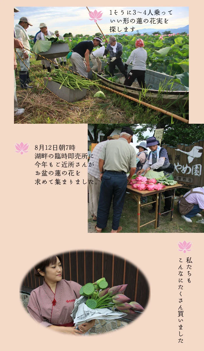 8月12日臨時即売所で販売していました