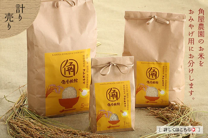 こしひかりの計り売り