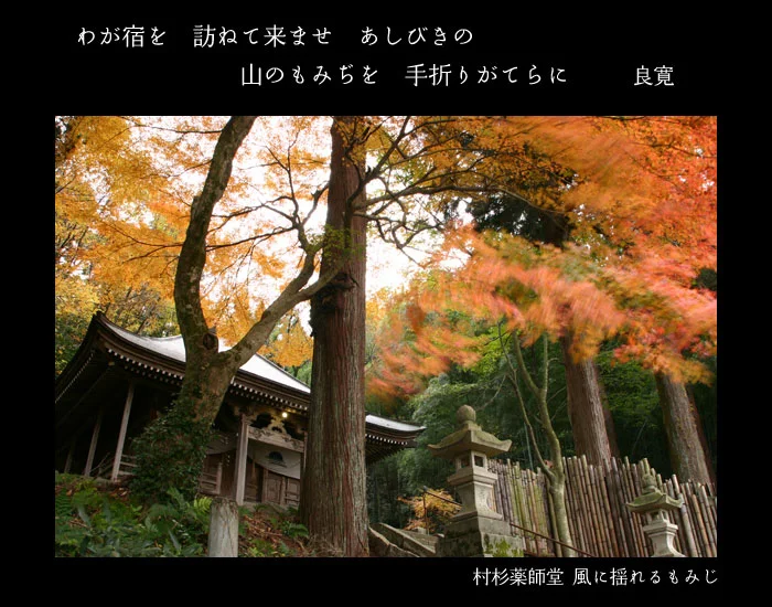 わが宿を　訪ねて来ませ　あしびきの　山のもみぢを　手折りがてらに