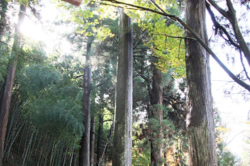 村杉ラジウム温泉　薬師の足湯