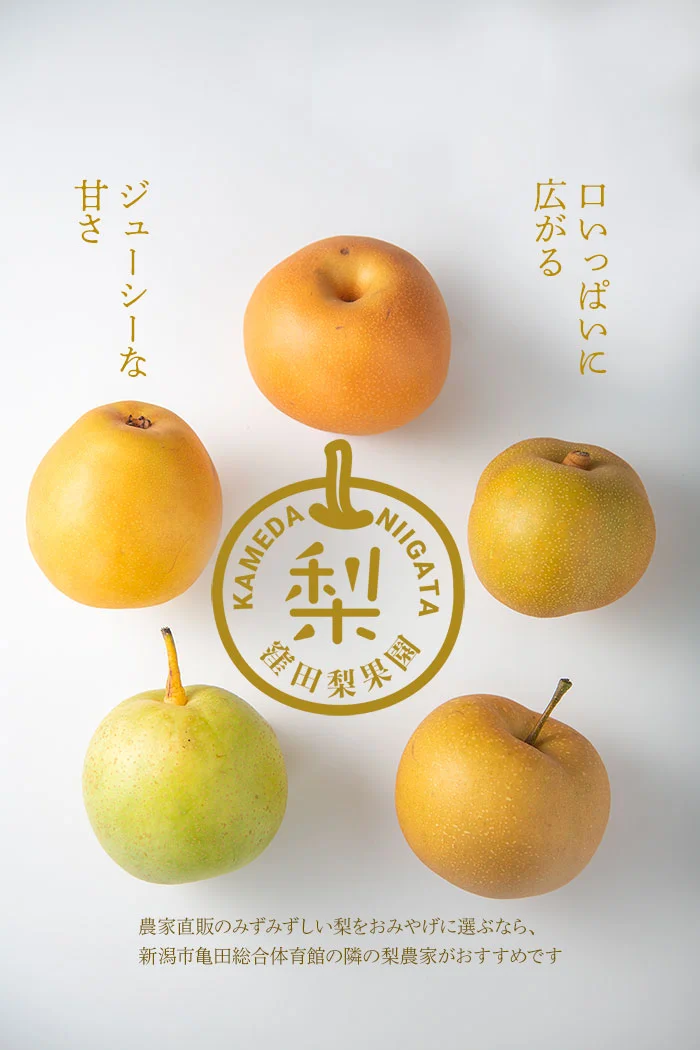 窪田梨果園　新潟市江南区　梨農家