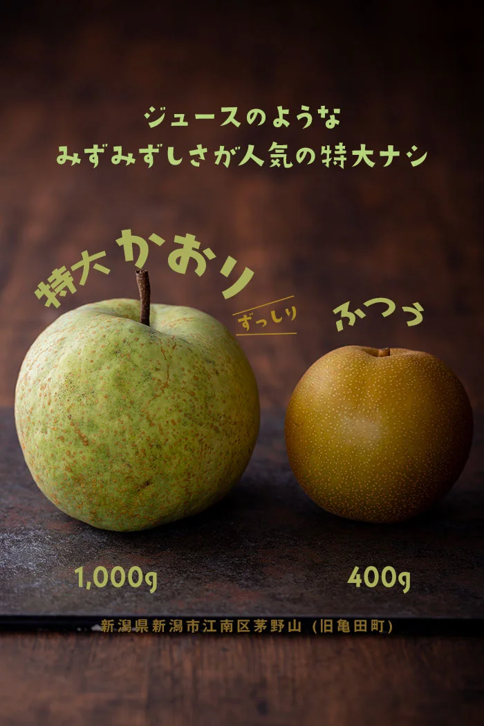 梨　特大かおり