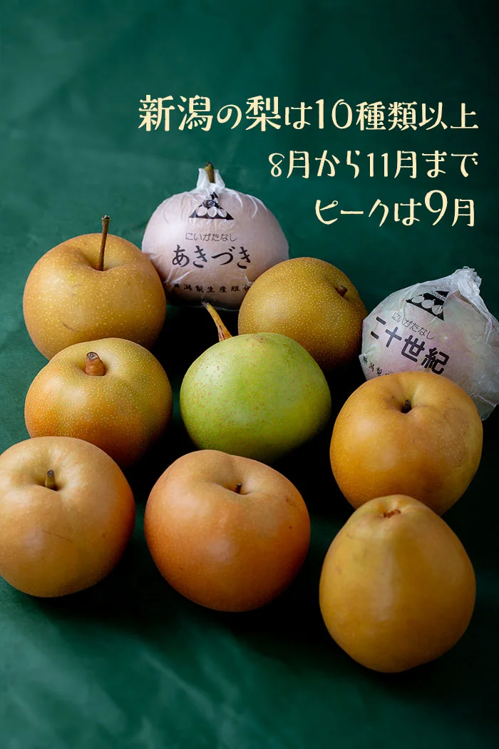 新潟の梨のピークは、8月から11月まで。ピークは9月
