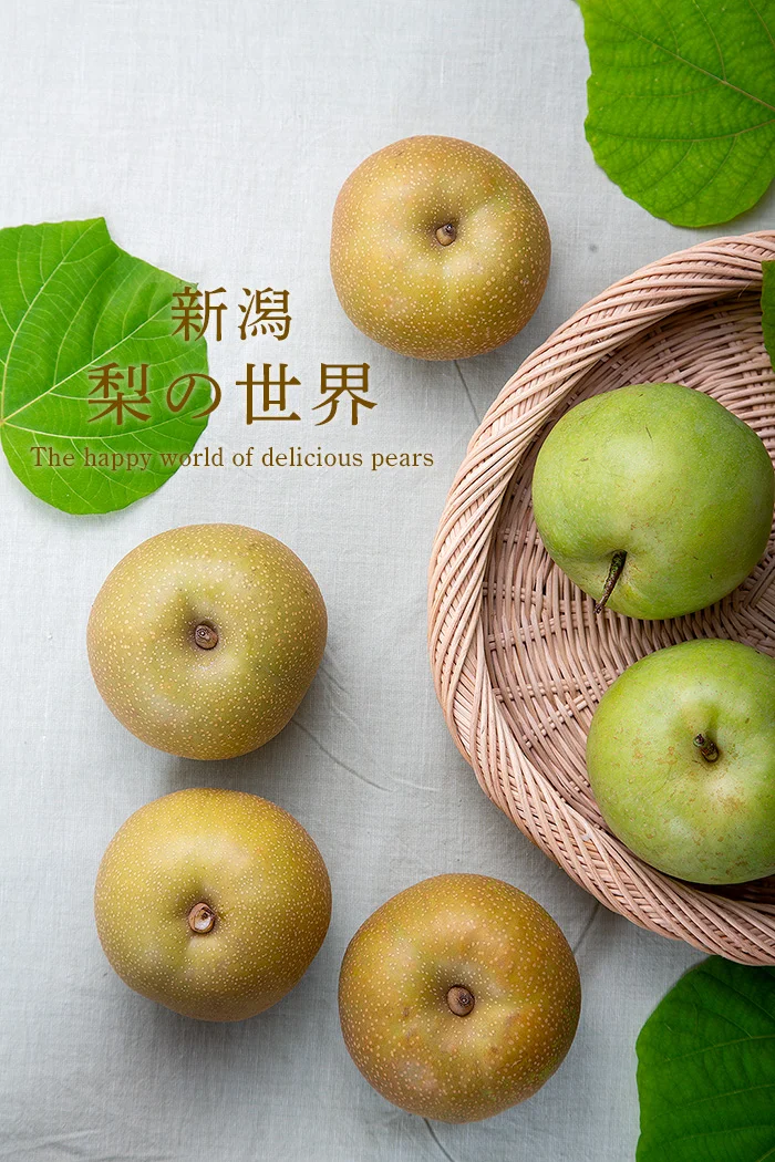 新潟　梨の世界