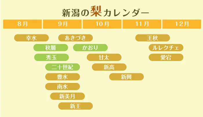 新潟の梨カレンダー　梨の出荷時期