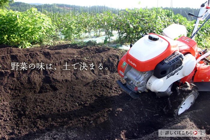 角屋農園の自家栽培野菜