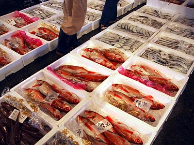 赤い魚がのどぐろ　その隣の白いのがヤナギカレイ