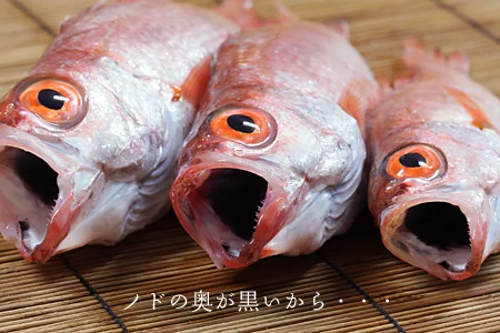 ノドグロ　のどぐろ　アカムツ
