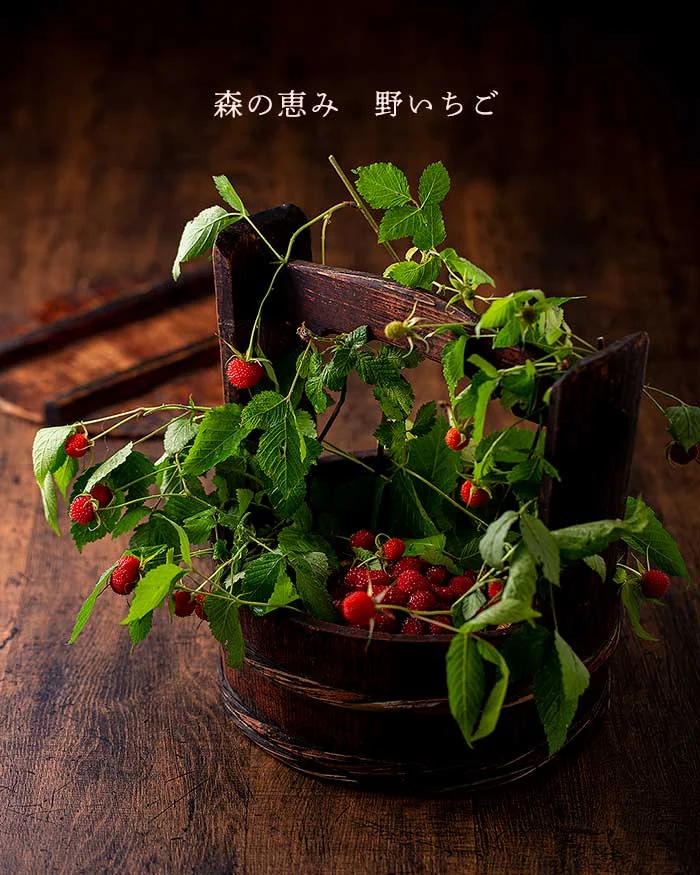 森の恵み　野いちご