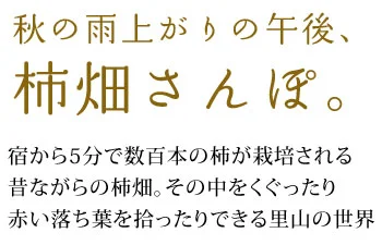 おけさ柿の柿畑