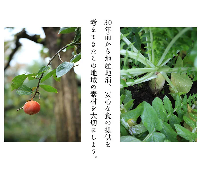 地産地消の柿畑