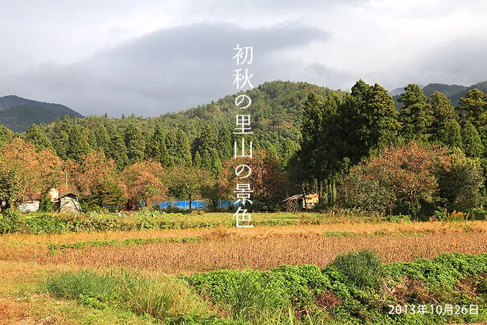 初秋の里山の景色