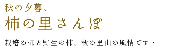秋の柿の里散歩