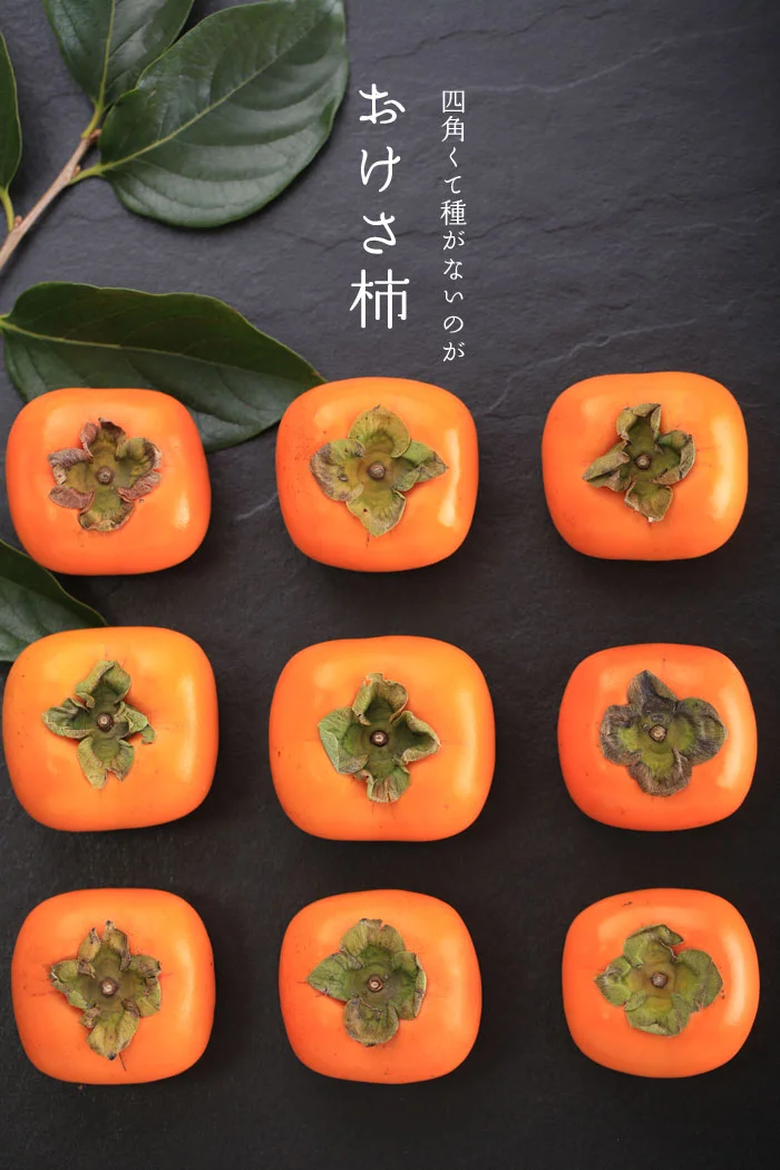 四角くて種がないのがおけさ柿の特徴です