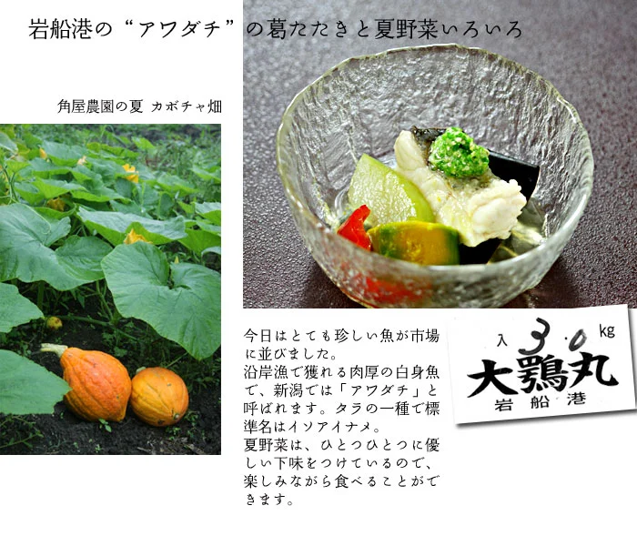 静養ごはんコース料理6