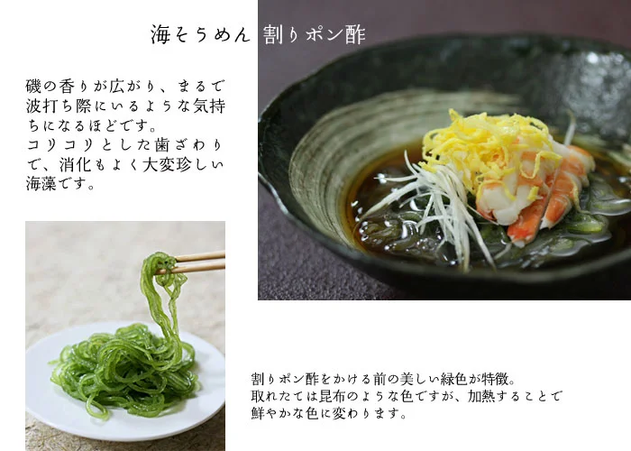 静養ごはんコース料理9