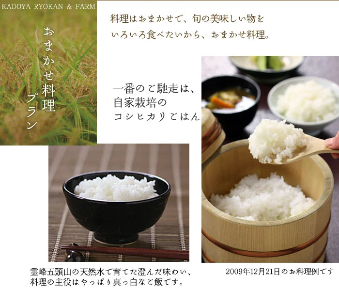 おまかせコース+ステーキ料理1