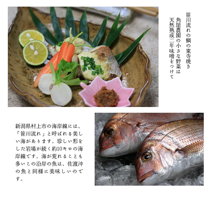 おまかせコース+ステーキ料理6