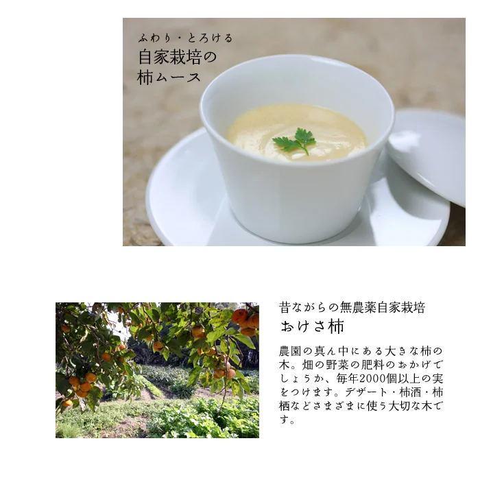 おまかせコース+ステーキ料理8