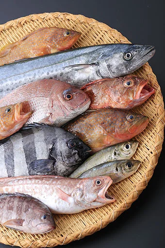 海の幸コース＋ステーキ付き