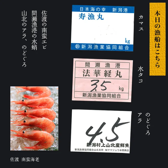 本日の漁船はこちら