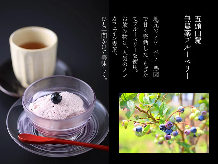 五頭山麓無農薬ブルーベリー