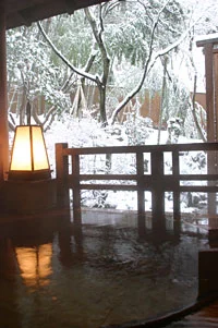 貸切露天風呂からの雪見