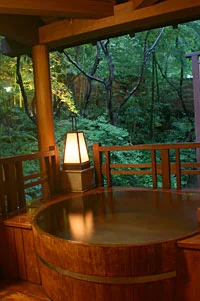 貸切露天風呂からの新緑