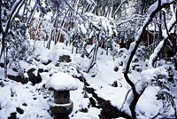 雪見の風景