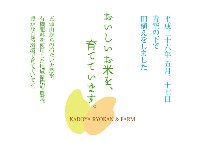 おいしいお米は自家栽培コシヒカリ