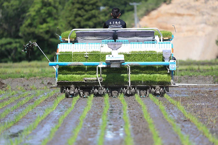 おいしいお米が食べられる宿