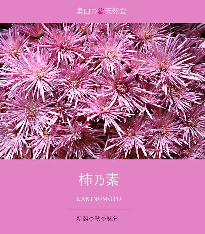 かきのもと　柿乃素