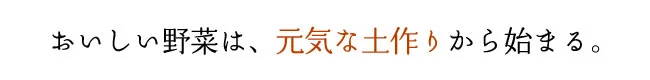 おいしい野菜は、元気な土作から始まる