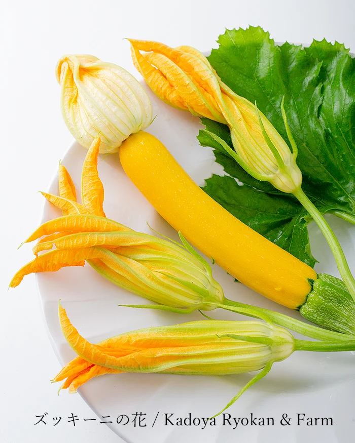 ズッキーニの花　角屋農園
