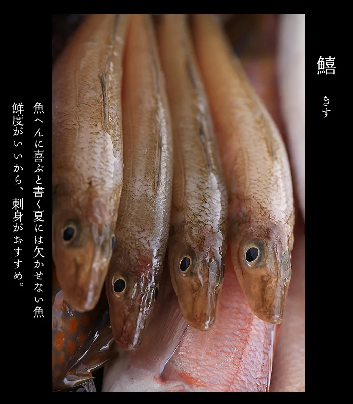 新潟の美味しい魚料理が食べられる宿　鱚