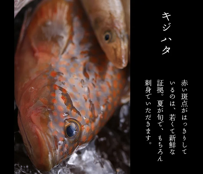 おいしい魚料理　キジハタ