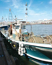 小さな漁船が次々と帰ってくる