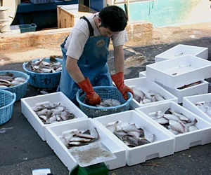 美味しい海の幸は、漁漁師のおかげです